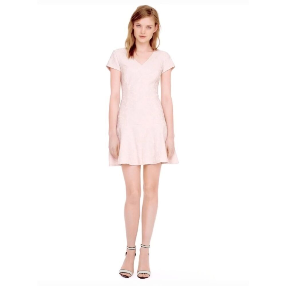 Club Monaco Darcia Drop Waist Blush Pink Lace Dress Sz. 2